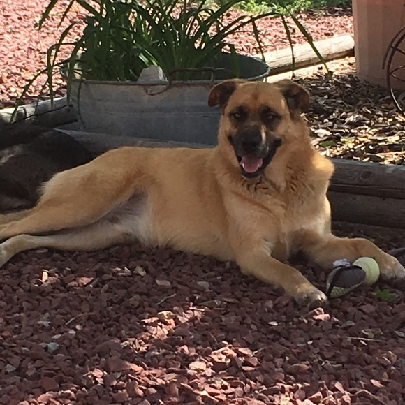 Meet your Posher, Jyllian - Picture 1 of 1